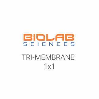 TM0101
